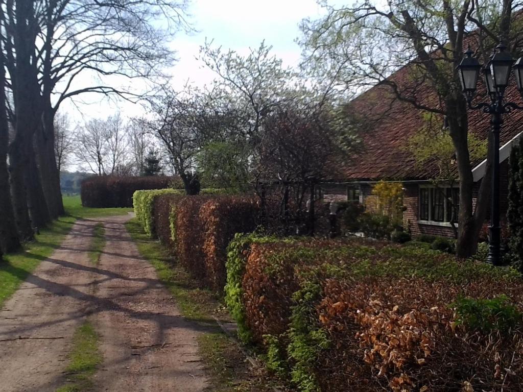 Bed & Breakfast Uiterburen Zuidbroek Екстериор снимка